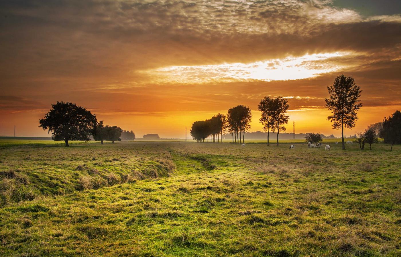 Динара Қайратова