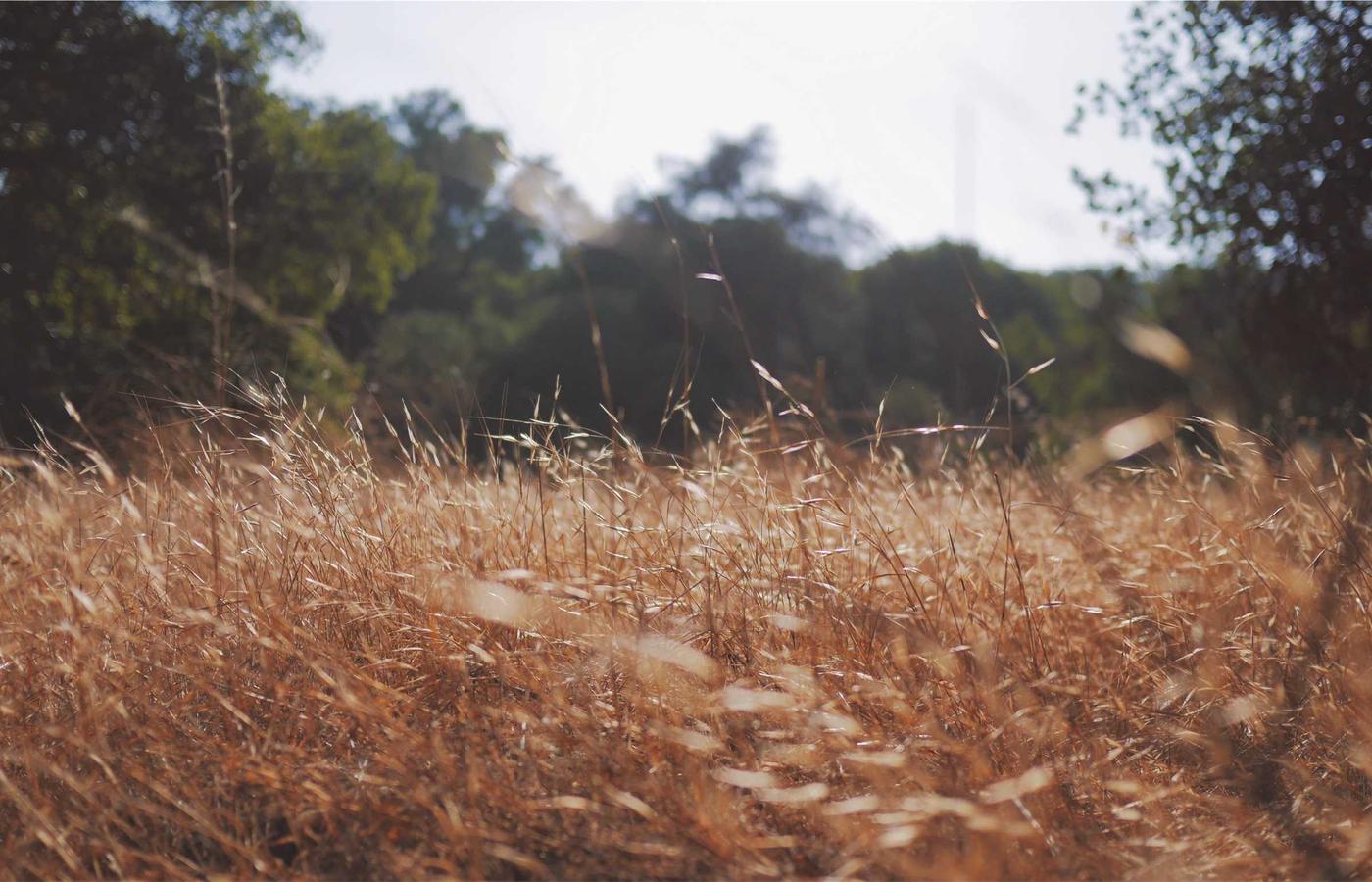 Жұмыс станцияларын қолдау